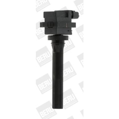 BorgWarner (BERU) Zündspule ZSE072
