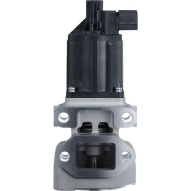 AGR-Ventil 703213 AGR-Ventil 703213