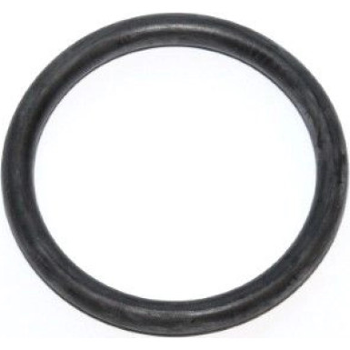 Elring Dichtring 599.531