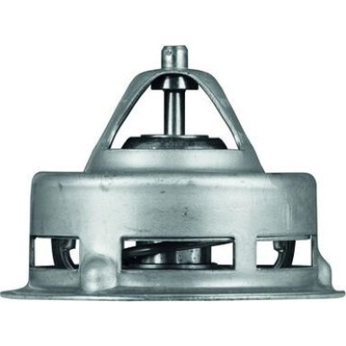 Mahle Thermostat, Kühlmittel BEHR TX 2 75