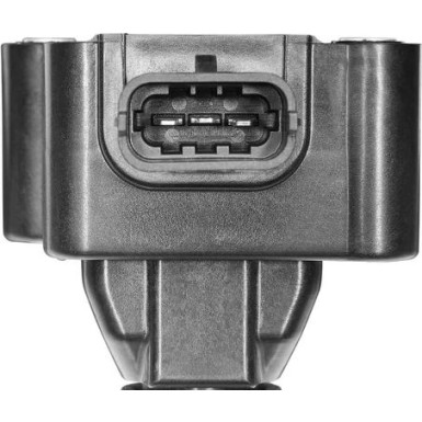 BorgWarner (BERU) Zündspule ZS178