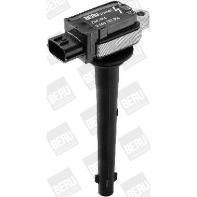 BorgWarner (BERU) Zündspule ZSE056