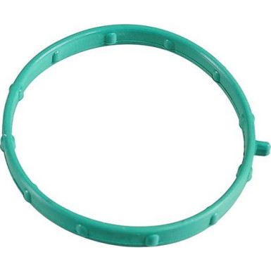 Metzger Dichtring 2430104