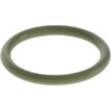 BOSCH Dichtring F 00N 200 048