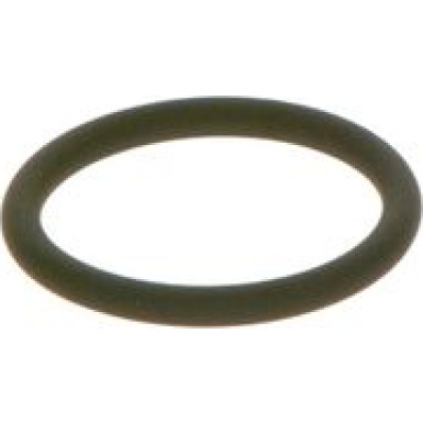 BOSCH Dichtring F 00R J00 534