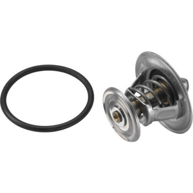 BorgWarner Thermostat, Kühlmittel 4264.87D