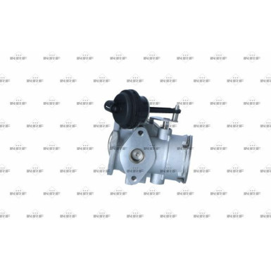 AGR-Ventil 48618 AGR-Ventil 48618