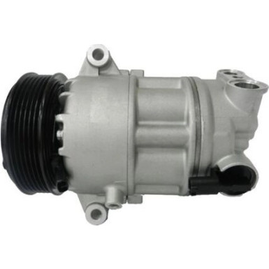 Mahle Kompressor, Klimaanlage BEHR ACP 163 000S