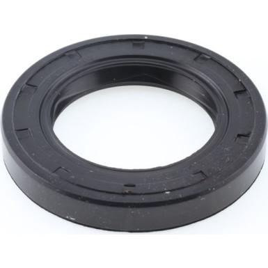 Dichtring 12000721B