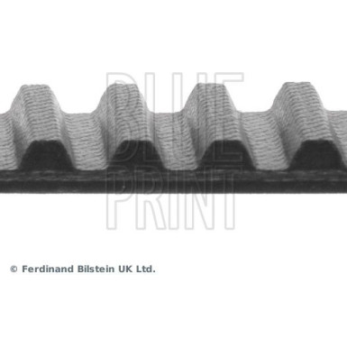 Blue Print Zahnriemen ADN17508