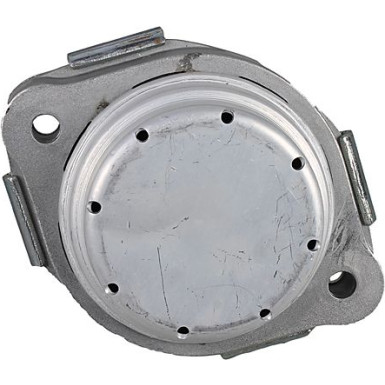 Metzger Lagerung, Motor 8053782