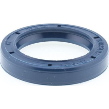 Dichtring 12001674B