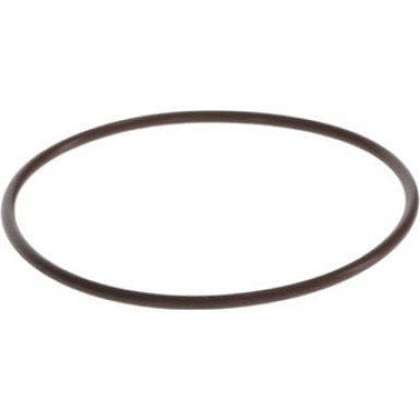 BOSCH Dichtring F 00N 201 473
