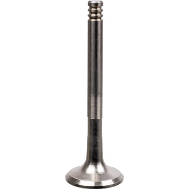 FEBI BILSTEIN 19974 Auslassventil FEBI BILSTEIN 19974 Auslassventil