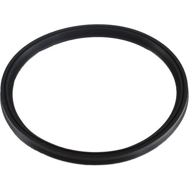 Metzger Dichtring 2430049