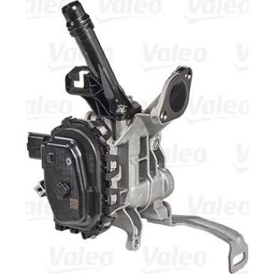 Valeo AGR-Ventil 700455