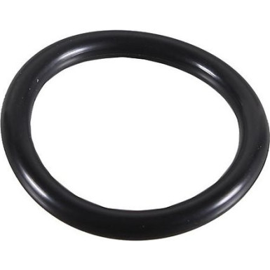 Metzger Dichtring 2430108