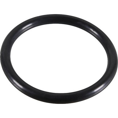 Metzger Dichtring 2430119