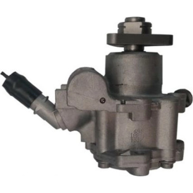 Hydraulikpumpe, Lenkung 54963 Hydraulikpumpe, Lenkung 54963