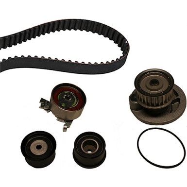 INA Wasserpumpe + Zahnriemensatz 530 0049 30