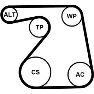 ContiTech Wasserpumpe + Keilrippenriemensatz 6PK1360WP1