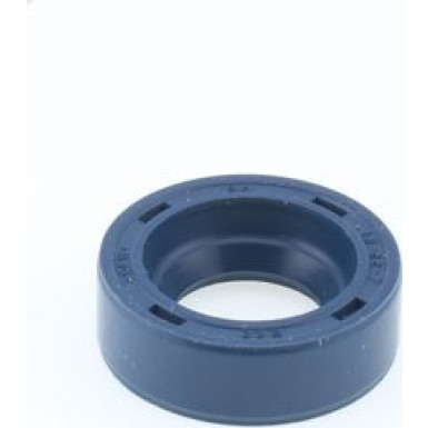 Dichtring 12010773B