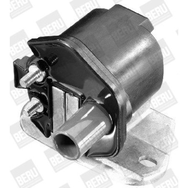 BorgWarner (BERU) Zündspule ZS298
