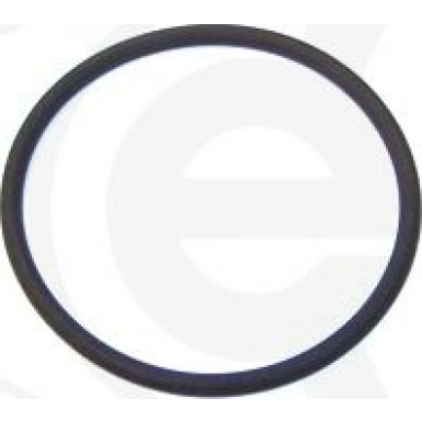 Dichtring 487.450 Dichtring 487.450