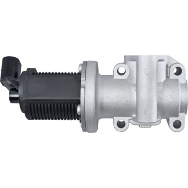 Hella AGR-Ventil 6NU 010 171-401