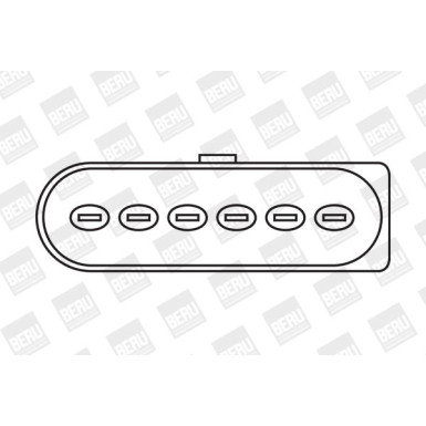 BorgWarner (BERU) Zündspule ZSE029