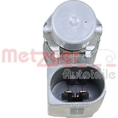 Metzger Einspritzventil 0920019