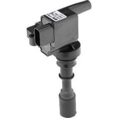 BorgWarner (BERU) Zündspule ZSE086