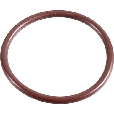 Dichtring 2430076 Dichtring 2430076
