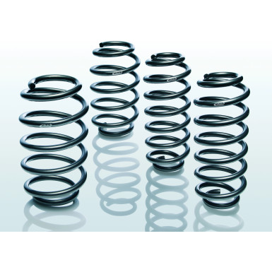 Fahrwerksatz, Federn Fahrwerksatz Federn Pro Kit Tieferlegung Eibach Pro-Kit E10-75-003-08-22