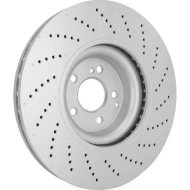 Hella Bremsscheibe Pro High Carbon 8DD 355 125-361