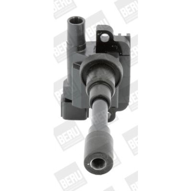 BorgWarner (BERU) Zündspule ZSE181