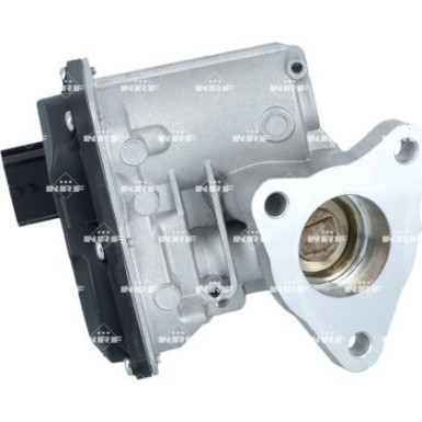NRF AGR-Ventil 48700