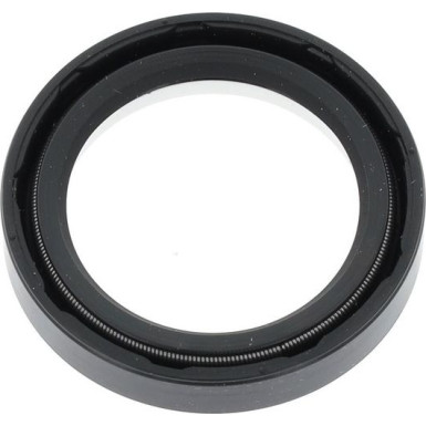Dichtring 01031617B Dichtring 01031617B