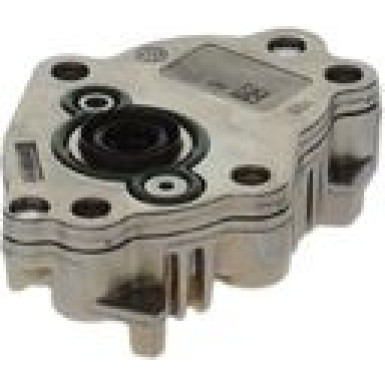 BOSCH Kraftstoffpumpe 0 440 020 065