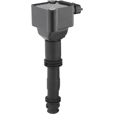 BorgWarner (BERU) Zündspule ZS178