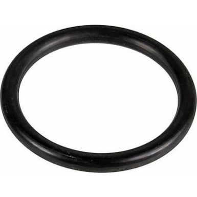 Metzger Dichtring 2430101