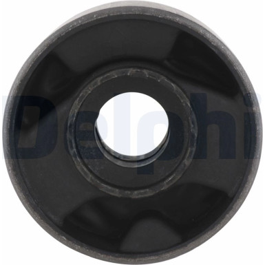 Delphi Lagerung, Lenker TD343W