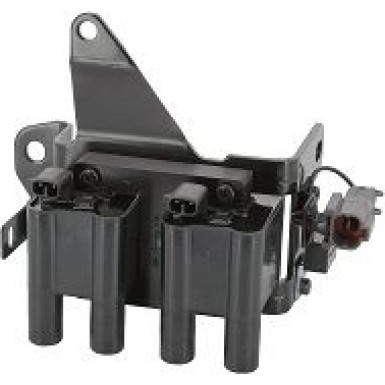 BorgWarner (BERU) Zündspule ZS561