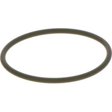 BOSCH Dichtring F 00N 202 130
