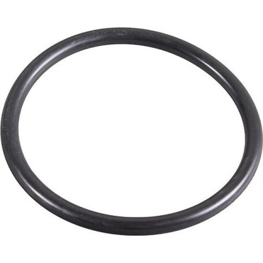 Metzger Dichtring 2430031