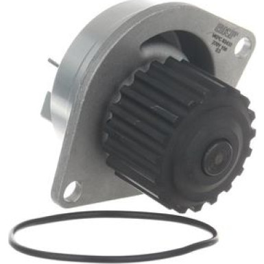 SKF Wasserpumpe Aquamax VKPC 83430