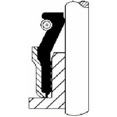 Corteco Dichtring, Ventilschaft 12015882