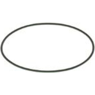 BOSCH Dichtring F 00N 201 204