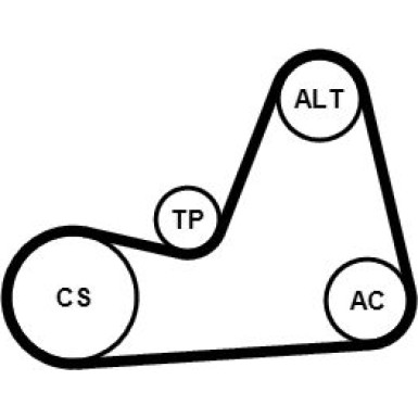 ContiTech Keilrippenriemensatz 6PK1100K1