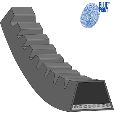 Blue Print Keilriemen AD13V875